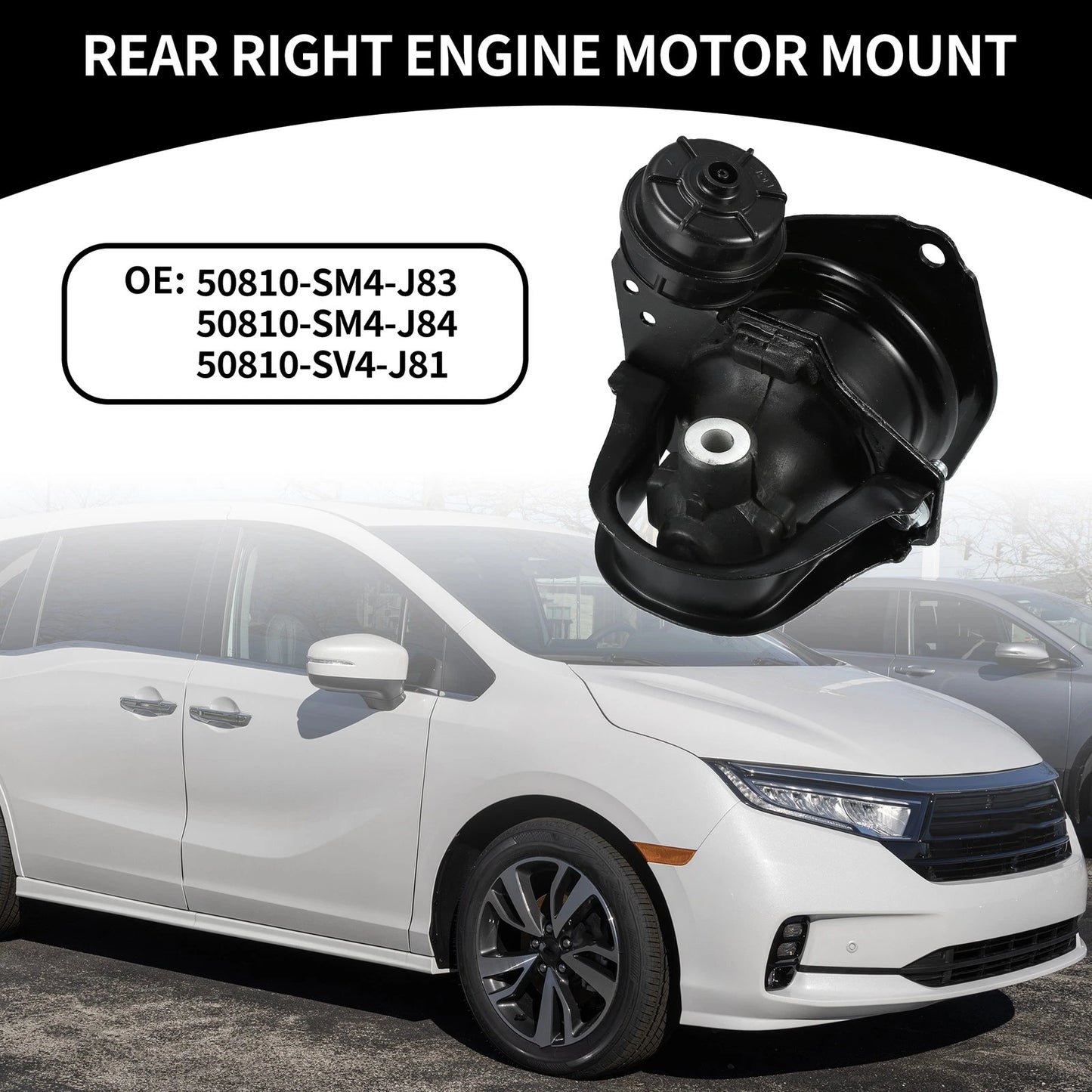 Rear Engine Motor Mount for Honda Odyssey, Accord (1997-1998)