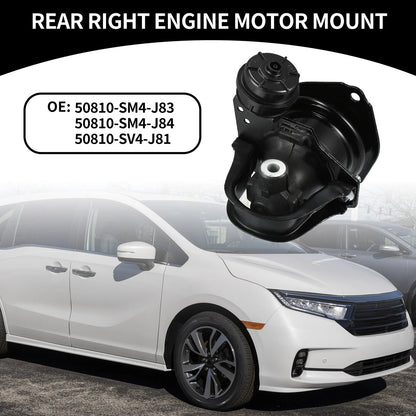 Rear Engine Motor Mount for Honda Odyssey, Accord (1997-1998)