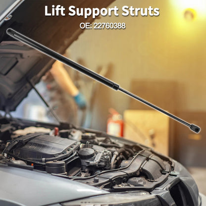 Front Hood Lift Supports Struts for Buick Enclave Chevrolet Traverse(2009–2023)