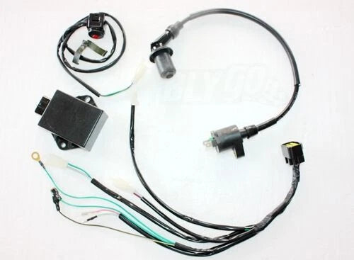 Magneto Stator Wiring Harness Loom for LIFAN W150 150cc Dirt Bike