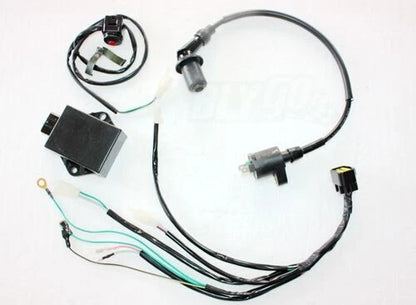 Magneto Stator Wiring Harness Loom for LIFAN W150 150cc Dirt Bike