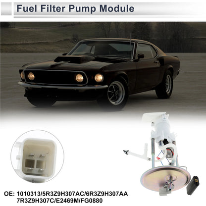 Fuel Pump Assembly for Ford Mustang V6 4.0L V8 4.6L (2006-2009)