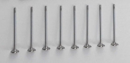 8 x Exhaust Valves for Clio 2 3 Kangoo Modus Thalia Twingo Savvy 1.2 16V D4F