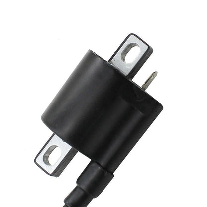 2 x Ignition Coils Left & Right / 12103CM / ABS Plastic for ATVs Scooters