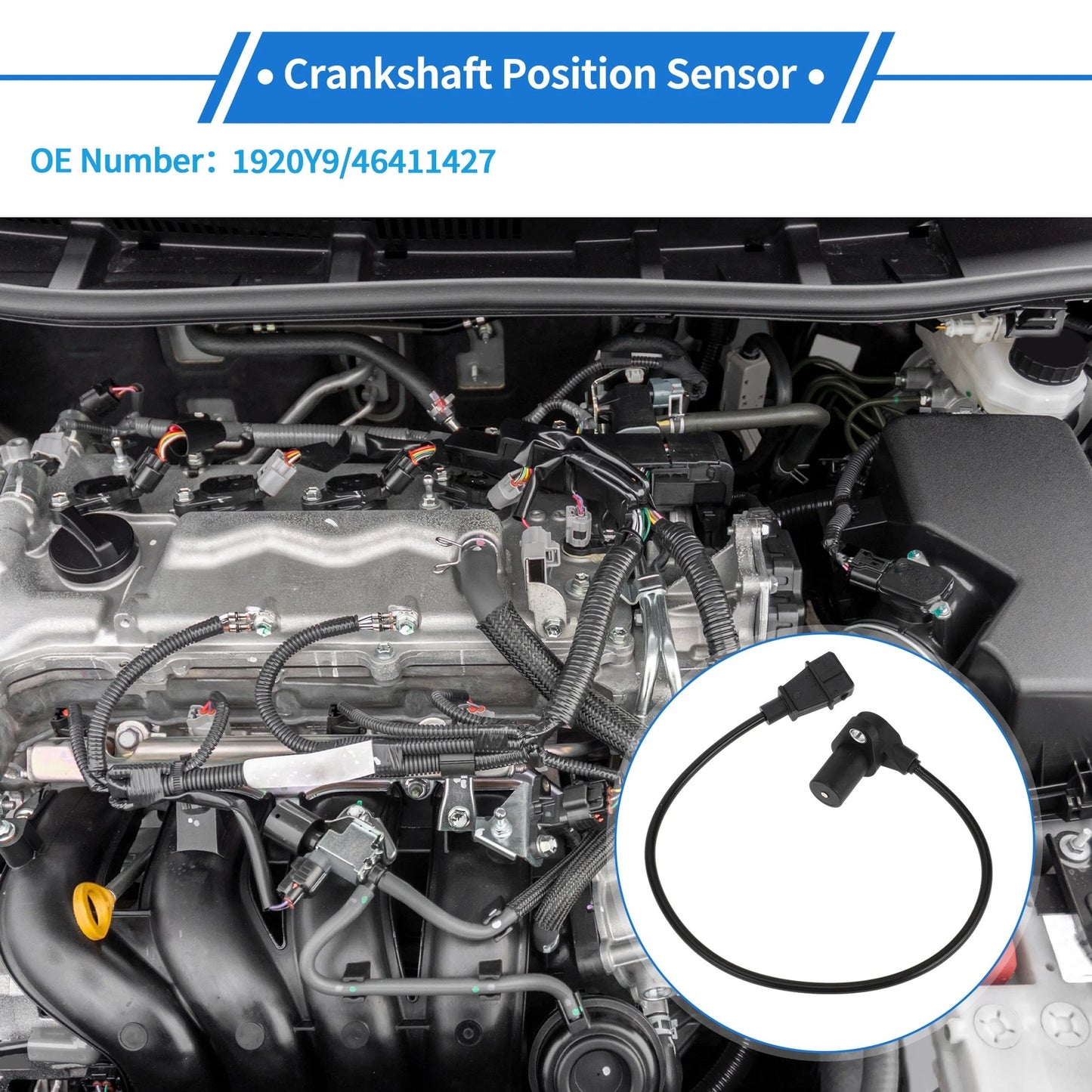 Crankshaft Position Sensor for PEUGEOT Expert (1996-2000) 1 Pc