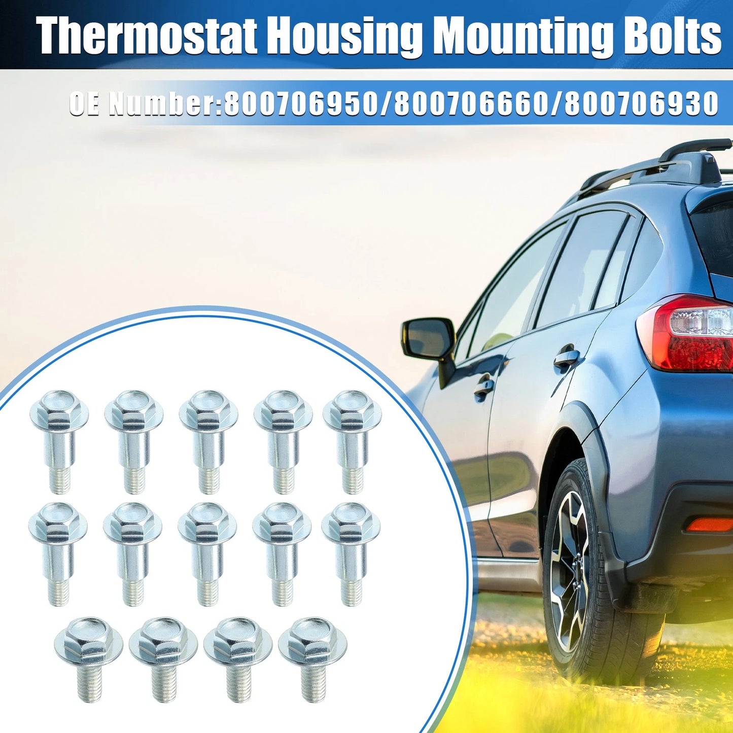 Timing Belt Cover Bolts for Subaru Baja (2003-2006)