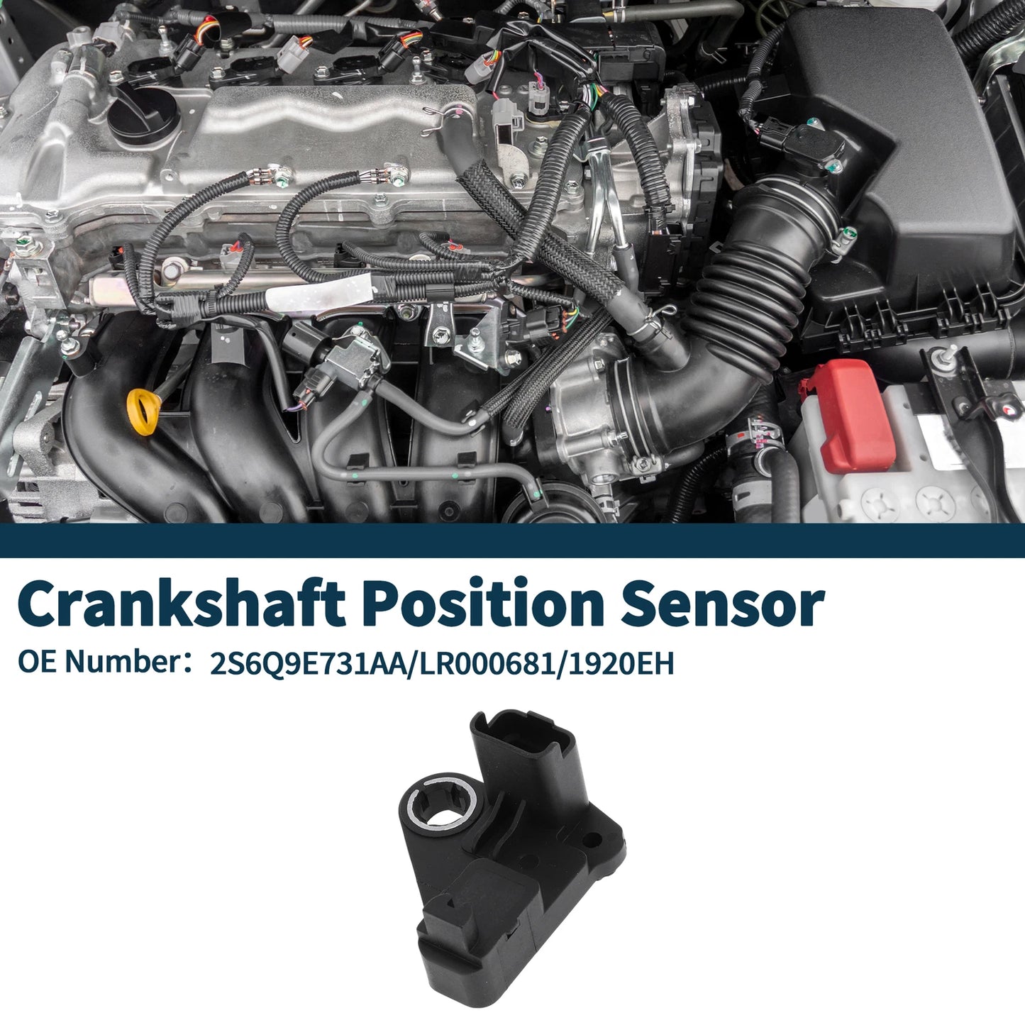 Crankshaft Position Sensor for Ford Fiesta 1.6 TDCi (2004-2008) 1 x Sensor