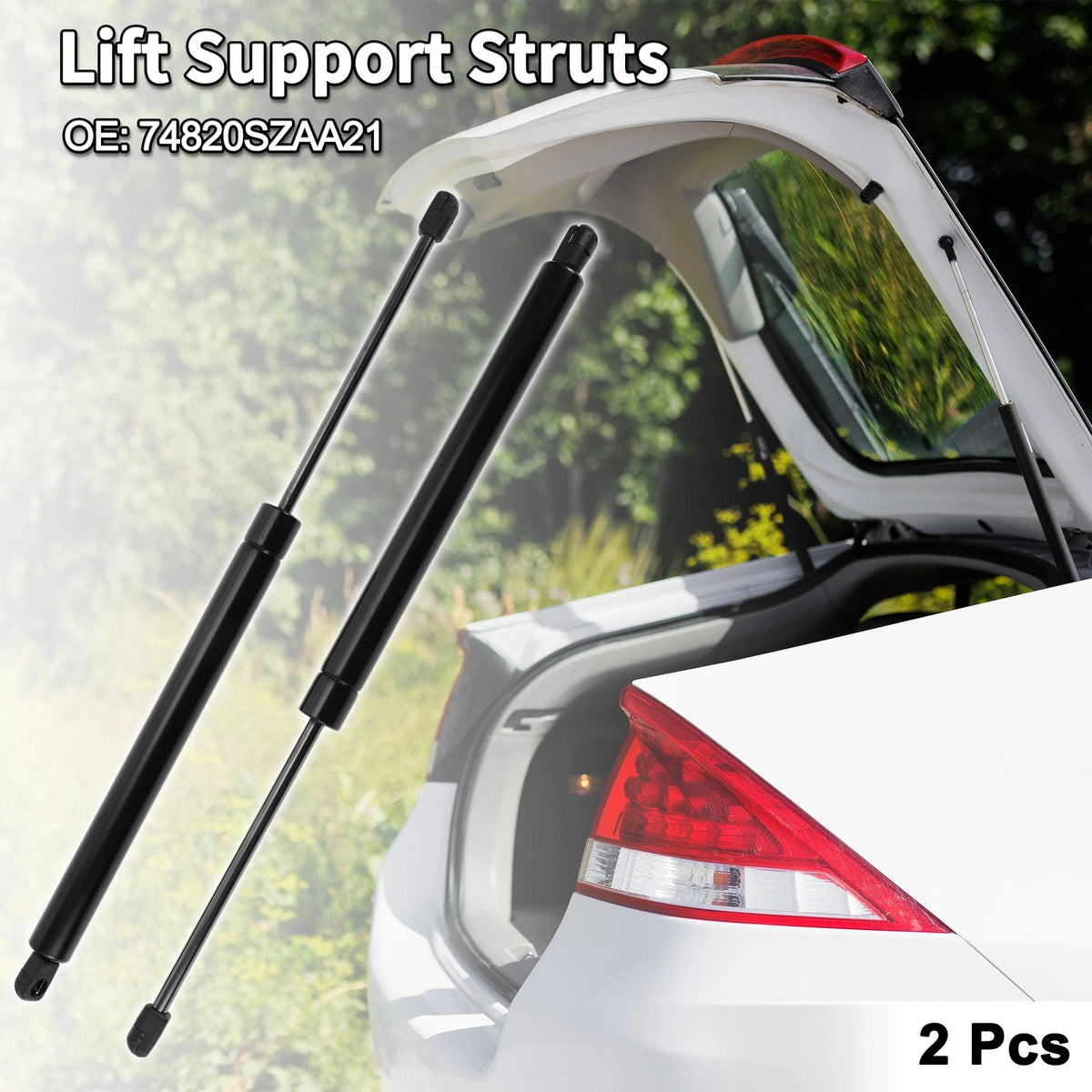 Rear Hatch Lift Supports for Honda Pilot Sport Utility (2016-2023)