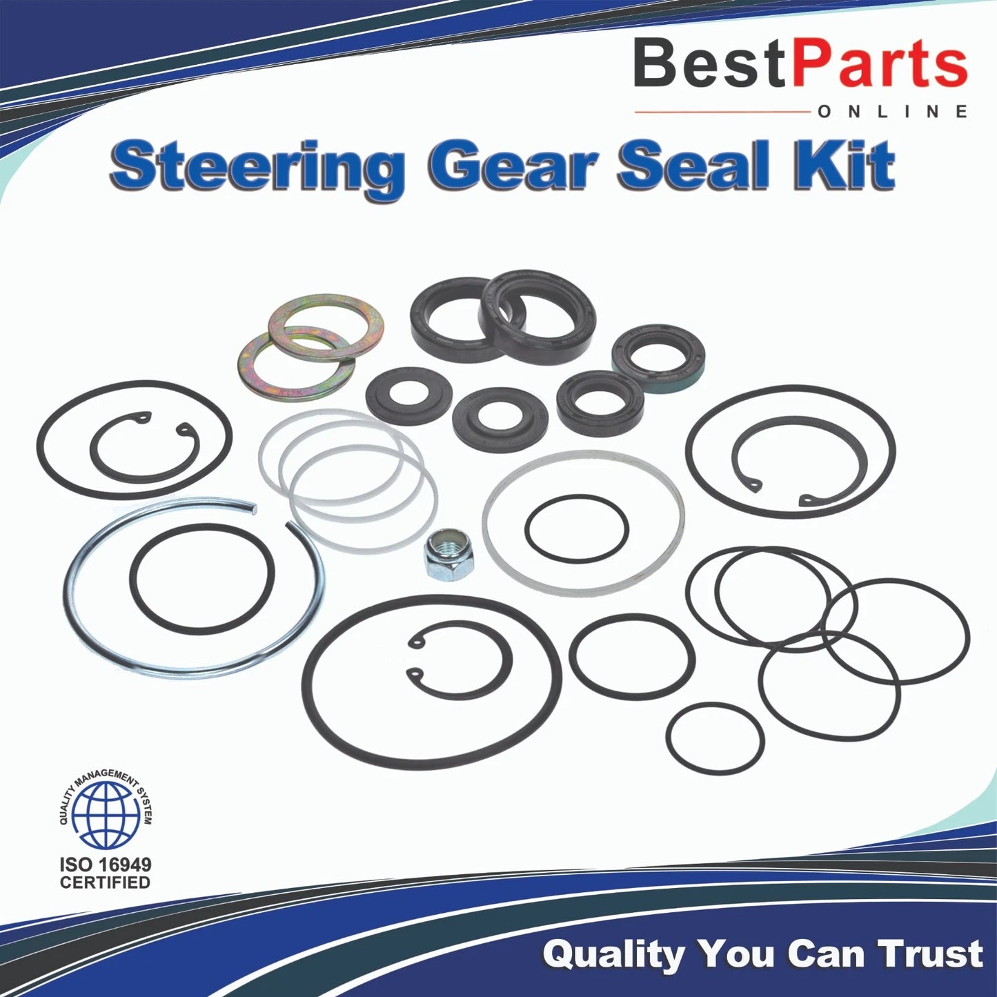 Steering Gear Box Seal Kit for Cadillac Commercial Chassis Deville Fleetwood