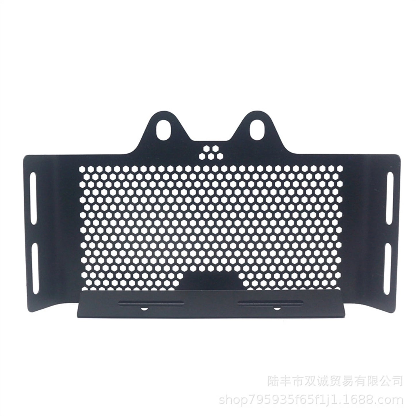 Radiator Grille Guard Cover for BMW R Nine T R9T (2013-2020)