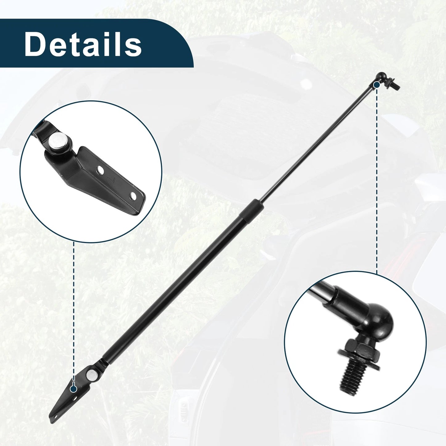 Rear Hatch Lift Supports for Subaru Outback (2003-2009)