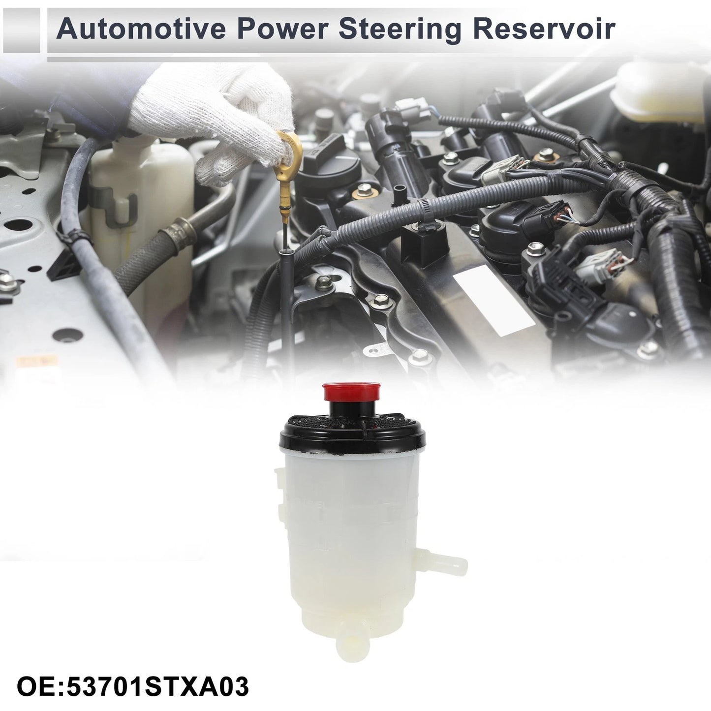 Power Steering Reservoir for Honda Acura MDX 2007-2013 (1 x)