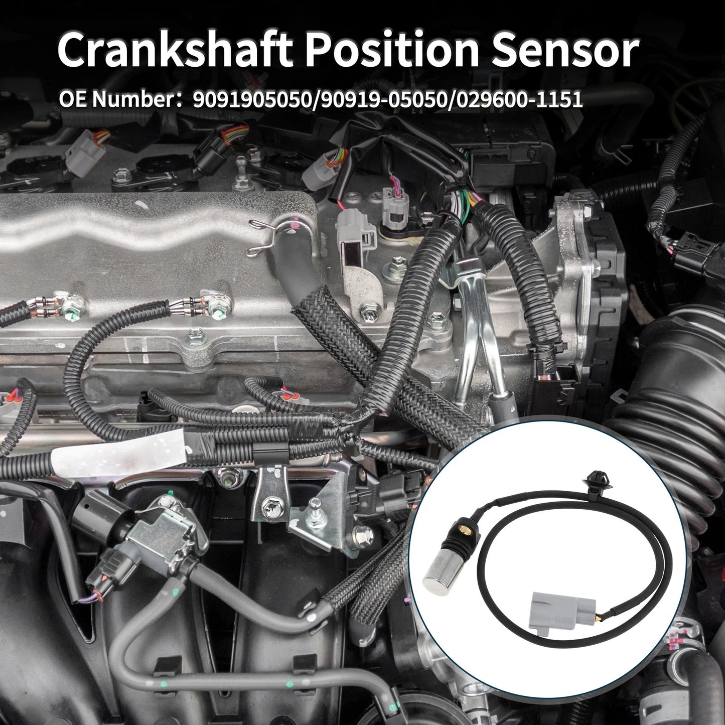 Crankshaft Position Sensor / 2.5/3.0 Diesel / Crankshaft Position Sensor for TOYOTA HILUX (2005–2013)