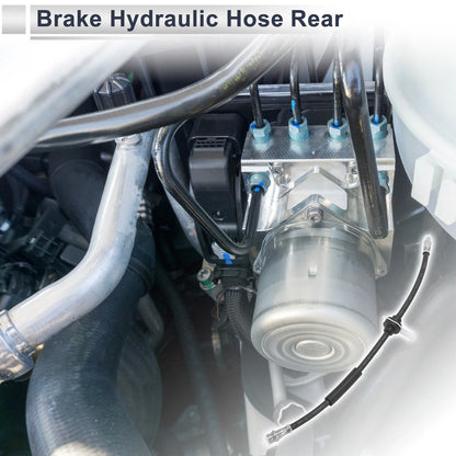Rear Brake Hose for Ford Escape (2013-2021)