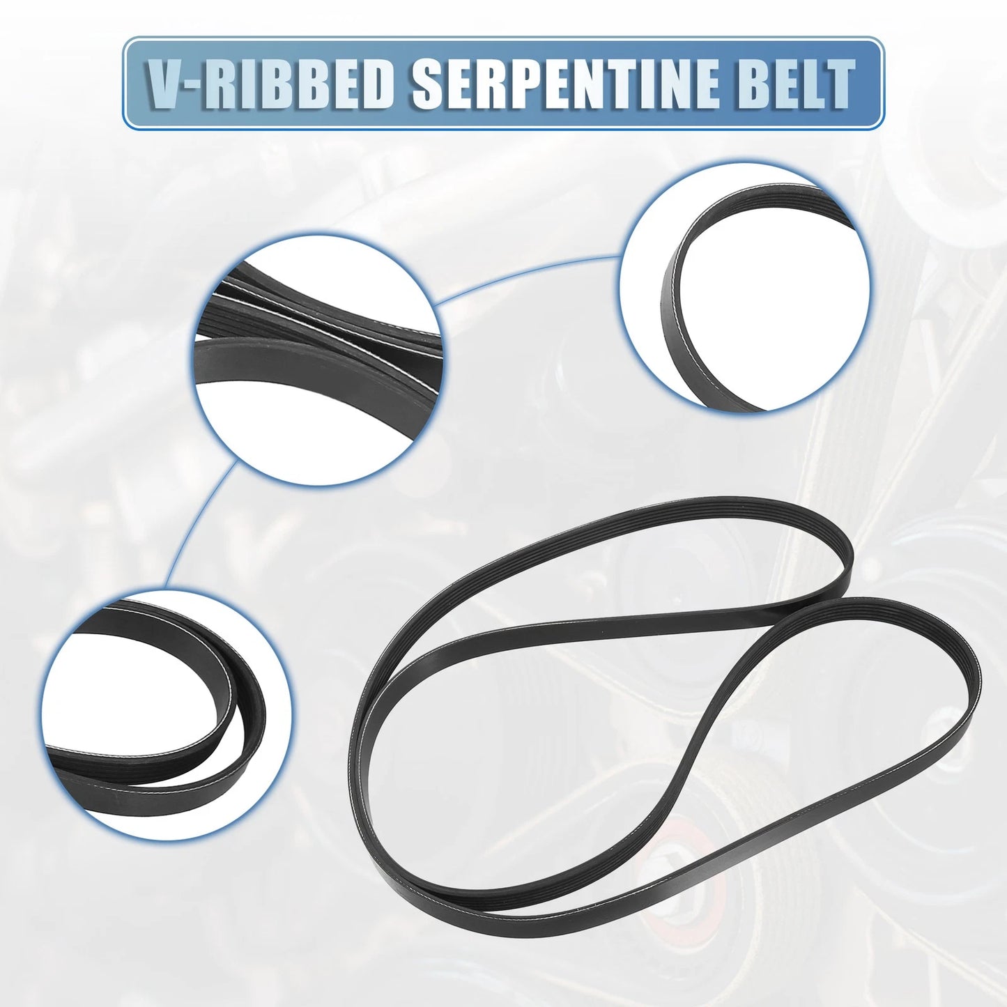 V-Ribbed Serpentine Drive Belt for Nissan Altima, Sentra (2002-2006)