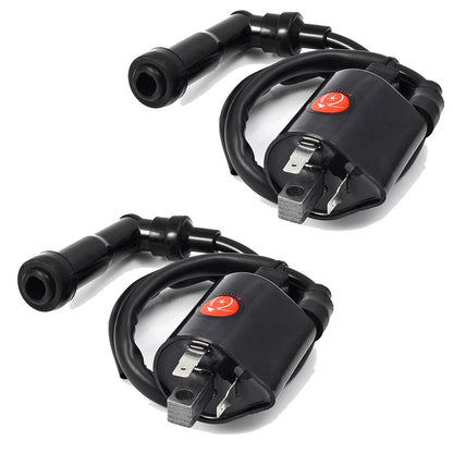 2 x Ignition Coils for Yamaha Virago 1100 XV1100 (1986–1999)
