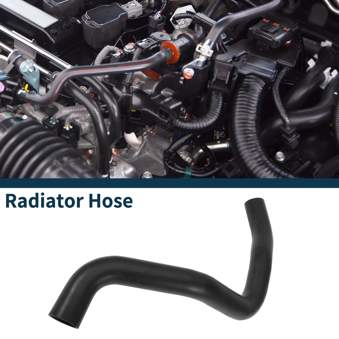 Radiator Hose Water Tank Drain Pipe for Ford Taurus (2010-2019) - 1 x Rubber
