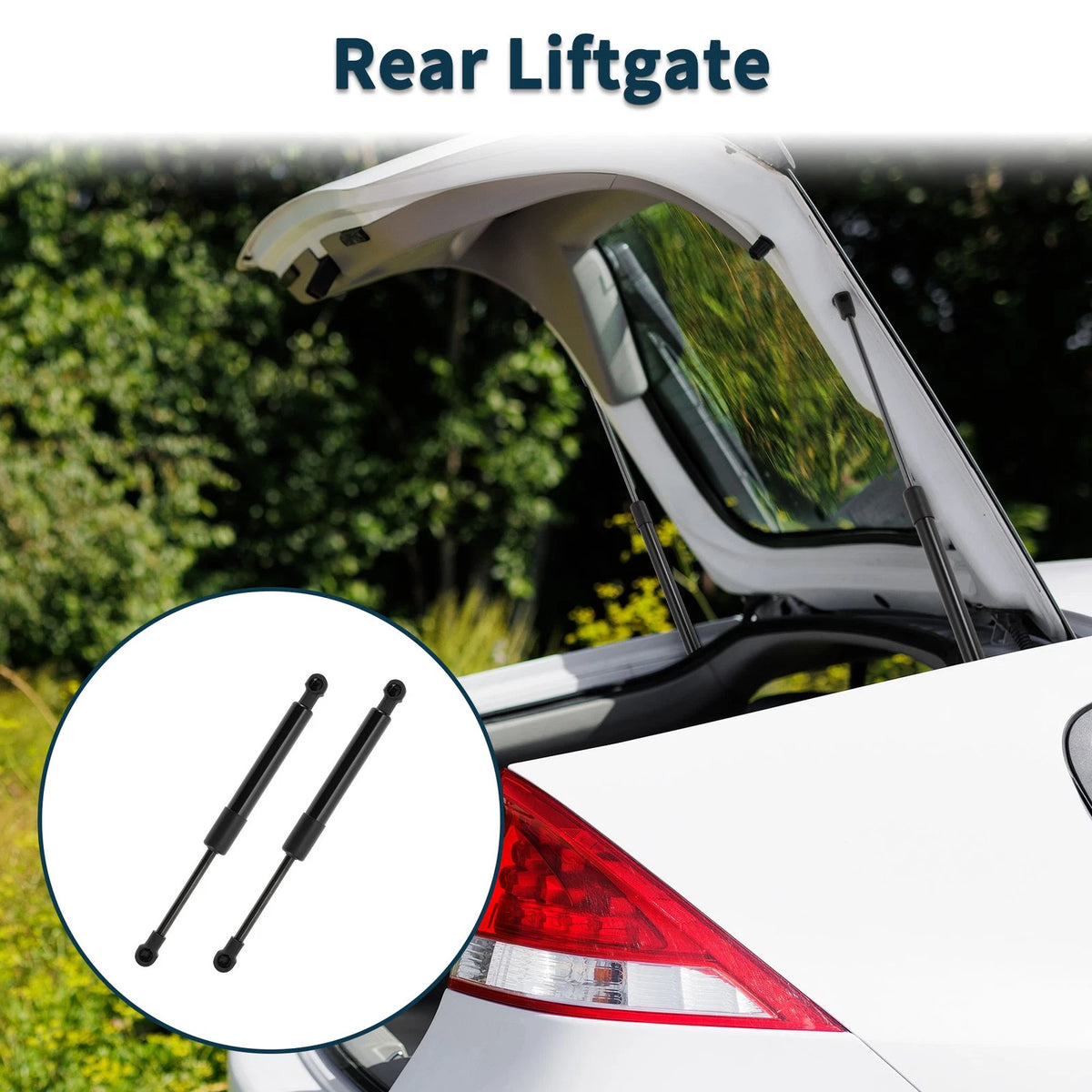 Rear Hatch Lift Supports for Nissan Sentra (2007-2012)