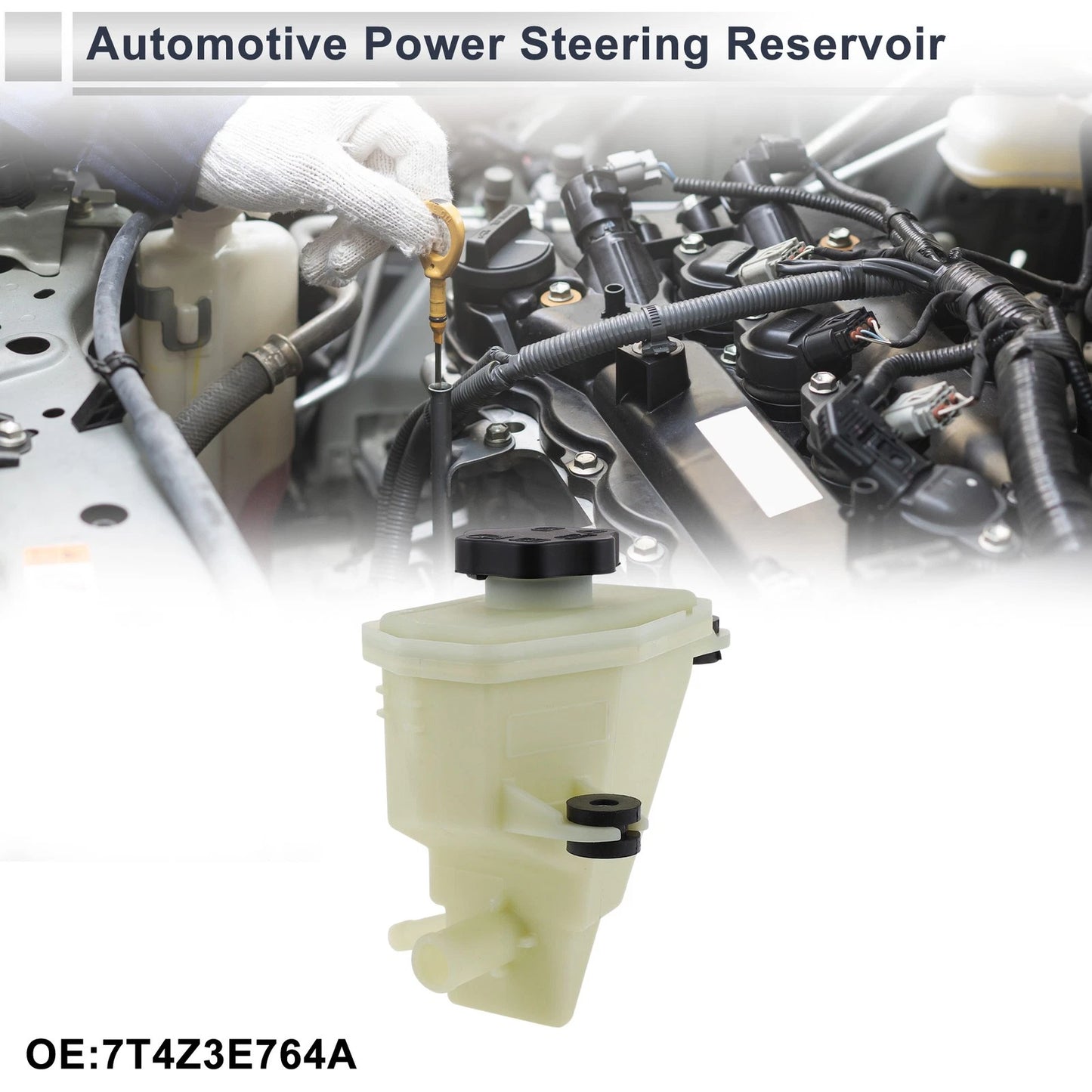 Power Steering Reservoir 1 Pc Beige for Ford Edge (2007-2010)