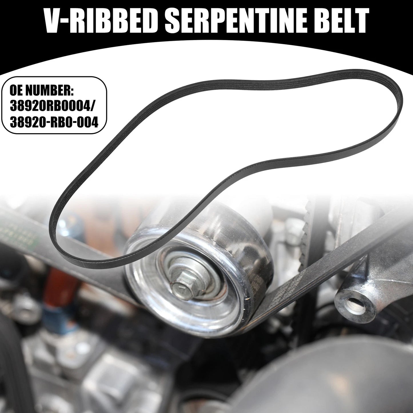 V-Ribbed Serpentine Belt for Honda Fit 5 Doors (2009-2013)