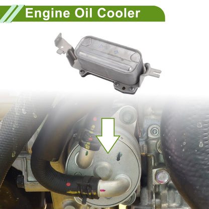 Engine Oil Cooler for BMW 550i 2009-2016, Transmission Oil Cooler 1 x Pc