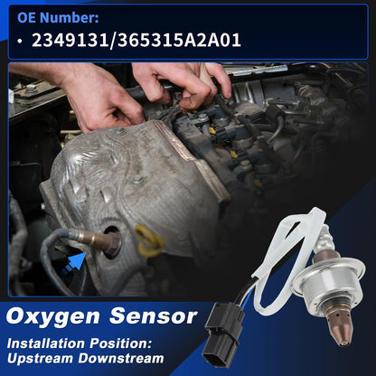 Oxygen Sensor for Honda Accord 2.4L (2013-2017)