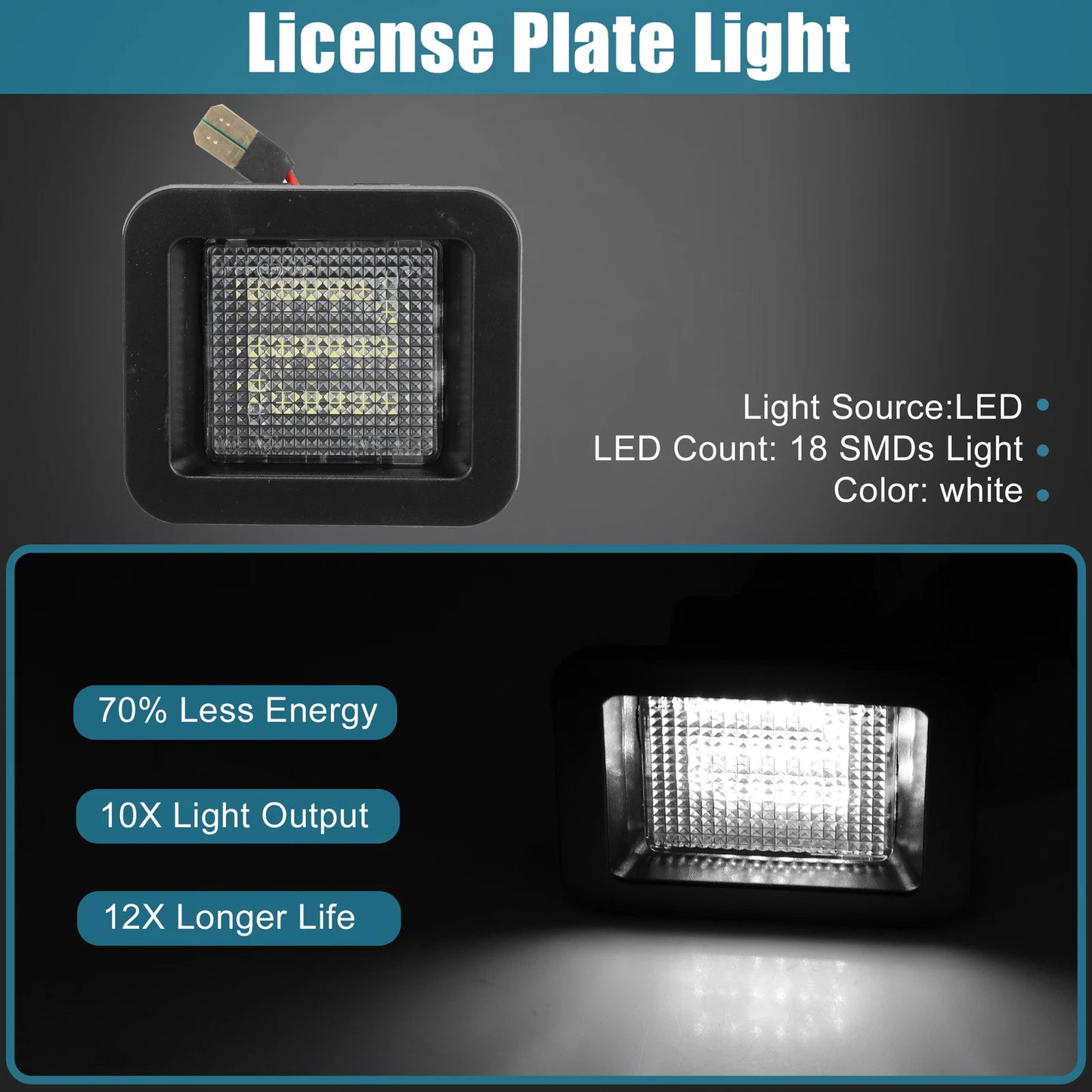 LED License Plate Light Assembly for Ford F150 (2015-2020)