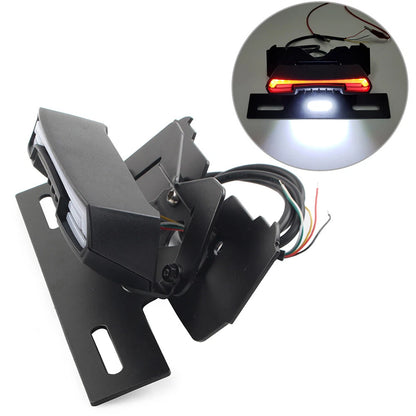 LED Tail Light Turn Signal Lamp for HONDA CRF450L (2018-2022)