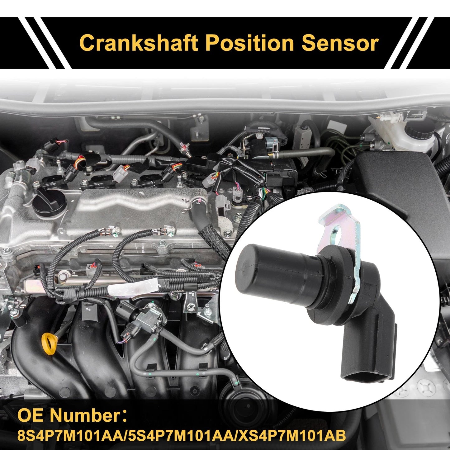 Crankshaft Position Sensor for Ford Focus (1998-2011)