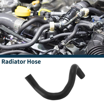 Radiator Hose Lower Radiator Hose for Toyota Camry (2018–2023)