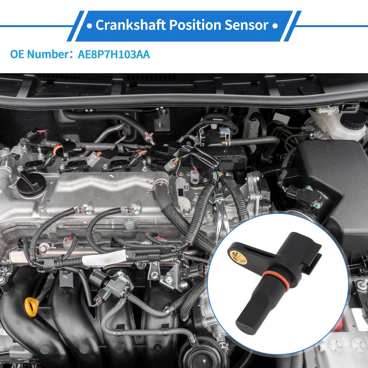 Crankshaft Position Sensor for Ford C-MAX 2014-2016 (1 x Black)