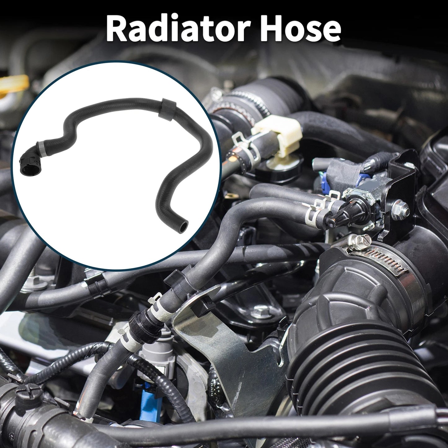 Radiator Hose for BMW 540i 3.0L (2017-2020)