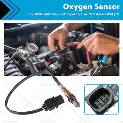 Oxygen Sensor for Holden Calais VE, Captiva CG, Commodore 3.6L (2006-2013)