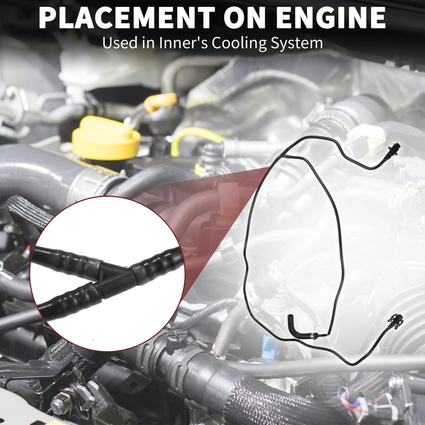 Radiator Hose for Ford Focus MK3 2014-2023 - Black 1 x Piece