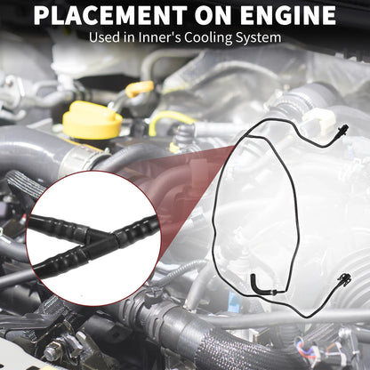 Radiator Hose for Ford Focus MK3 2014-2023 - Black 1 x Piece