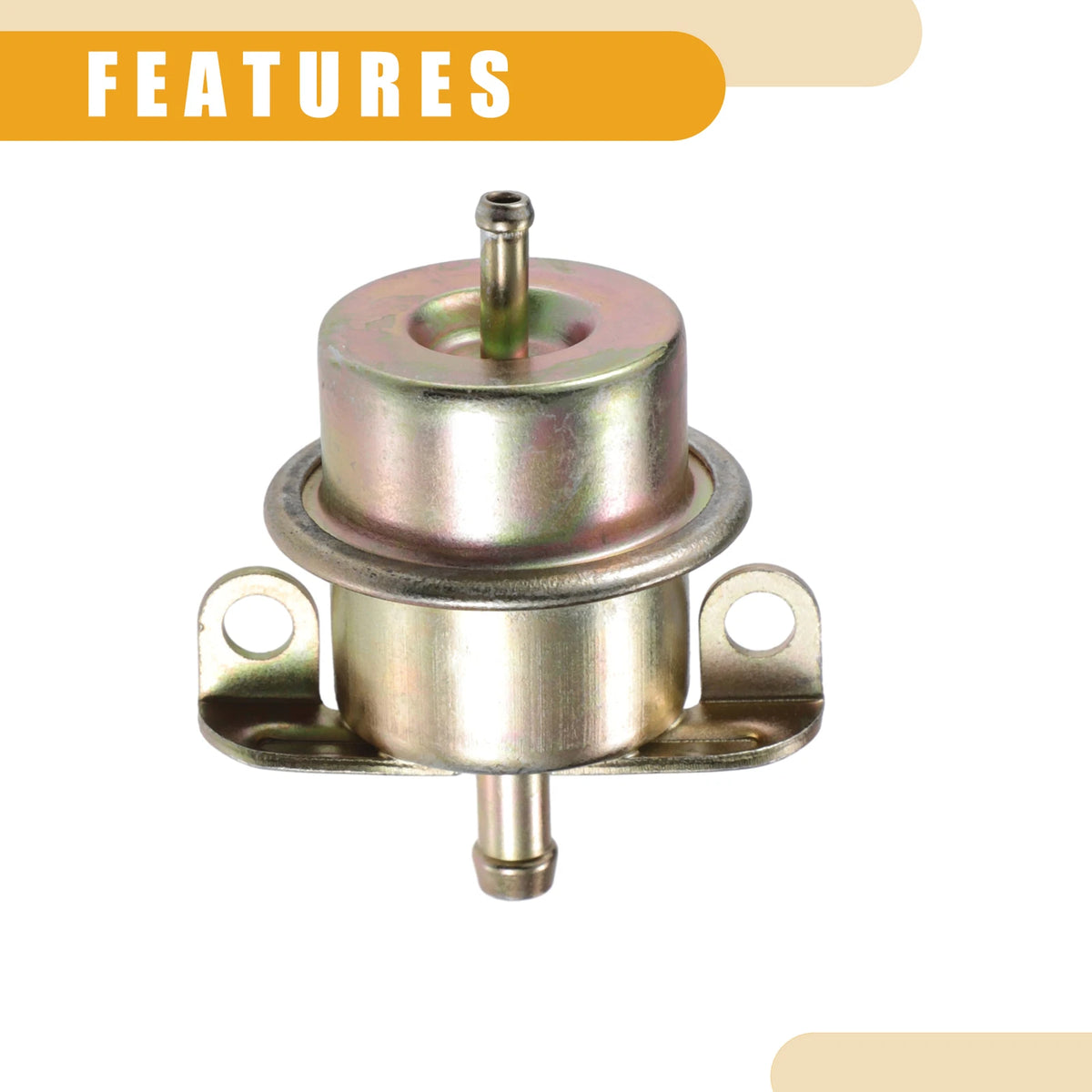 Fuel Injection Pressure Regulator for BMW 325i (1987-1993) Metal