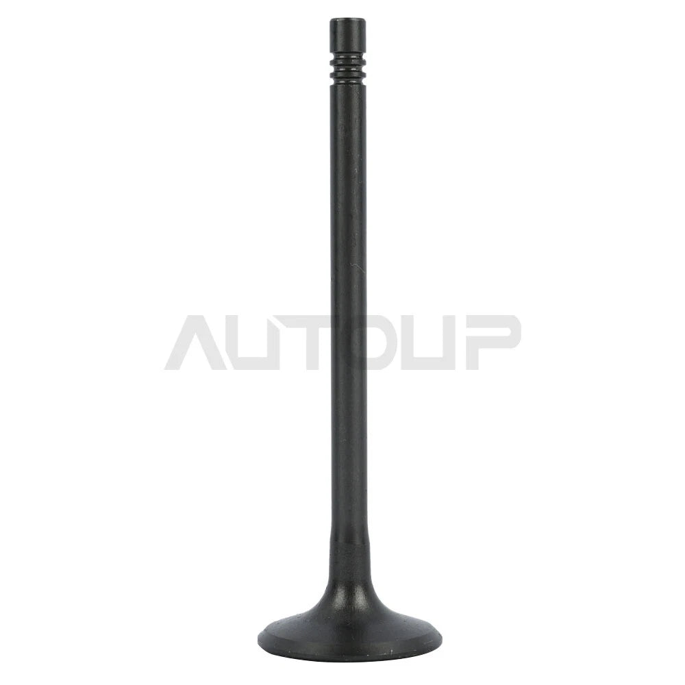 Intake & Exhaust Valve for Chevrolet Equinox (2010–2017)