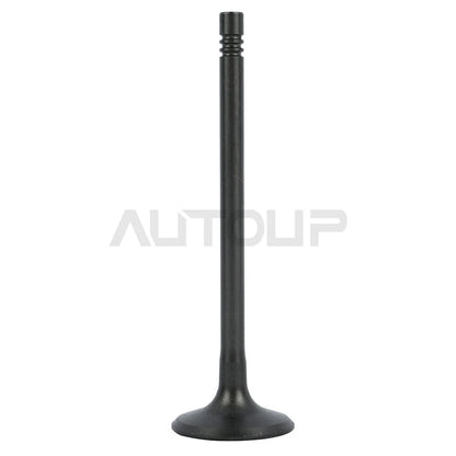 Intake & Exhaust Valve for Chevrolet Equinox (2010–2017)