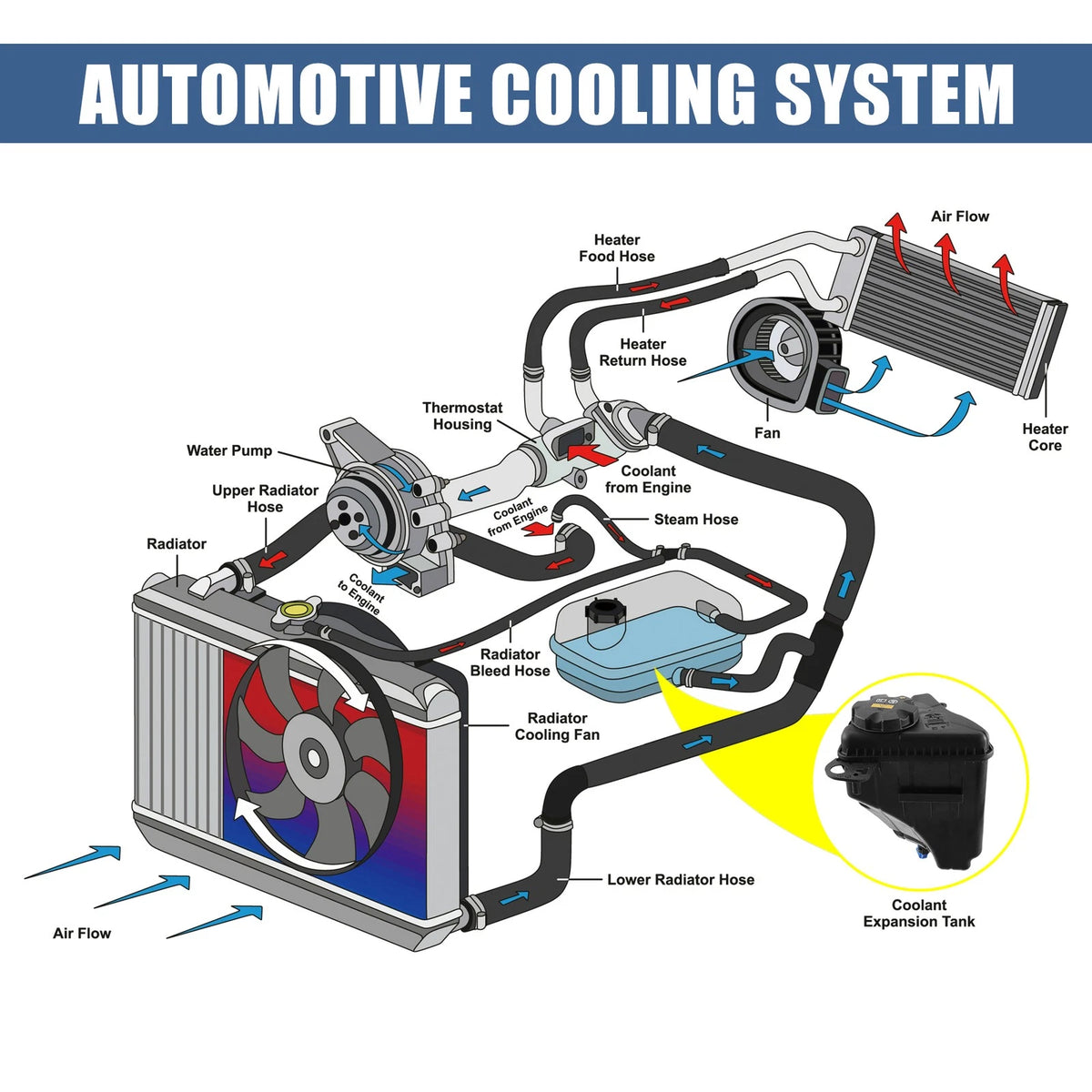 Coolant Radiator Reservoir Tank with Cap and Sensor for BMW (2019)