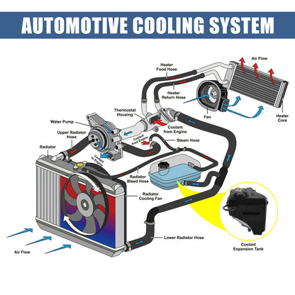 Coolant Radiator Reservoir Tank with Cap and Sensor for BMW (2019)