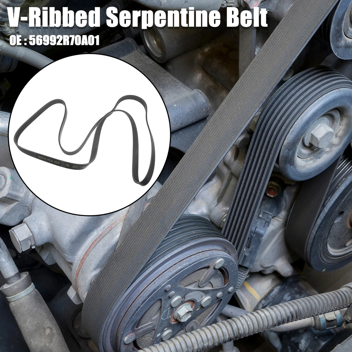 V-Ribbed Serpentine Drive Belt for Honda Odyssey (2005-2010)