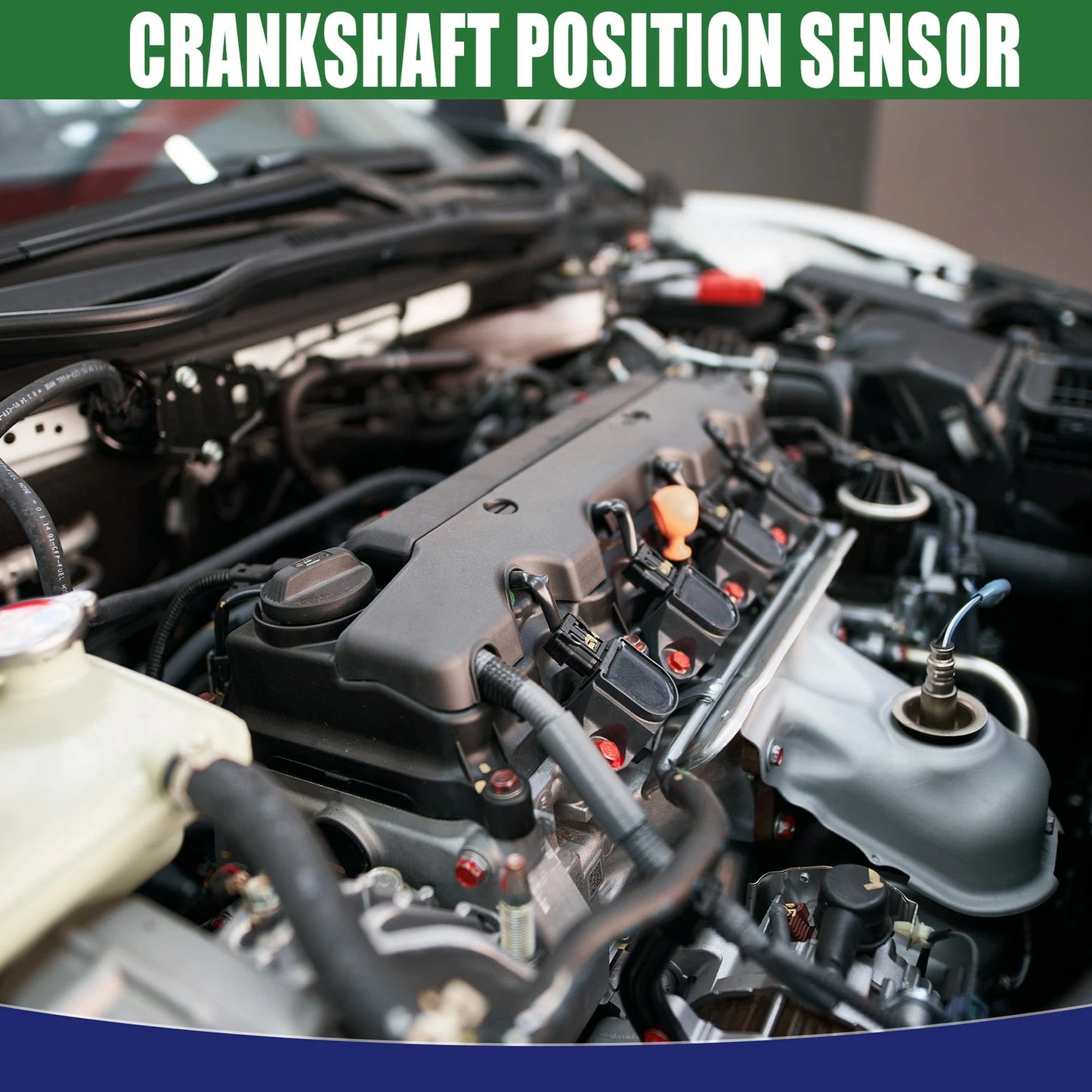 Crankshaft Position Sensor for Mini