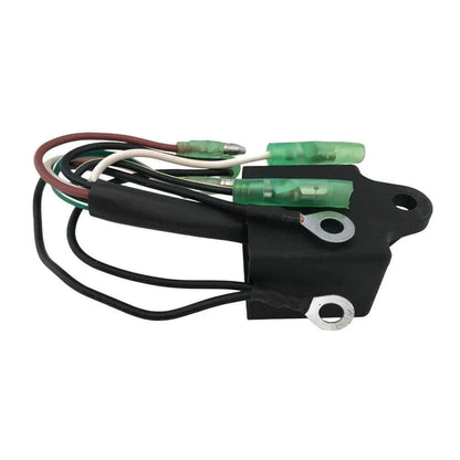 CDI Unit Assembly for Yamaha Outboard Motor 3HP (6L5 Series)
