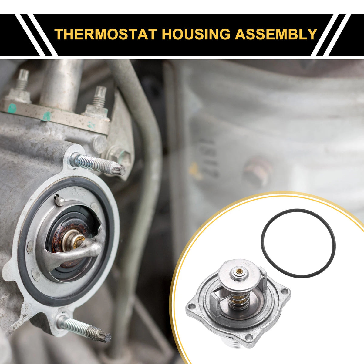 Engine Coolant Thermostat Housing for BMW 540i 740i 4.4L V8 (1997-1998)
