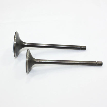 250cc Engine Head Intake Exhaust Valves for ZS CB PIT PRO TRAIL QUAD DIRT BIKE ATV