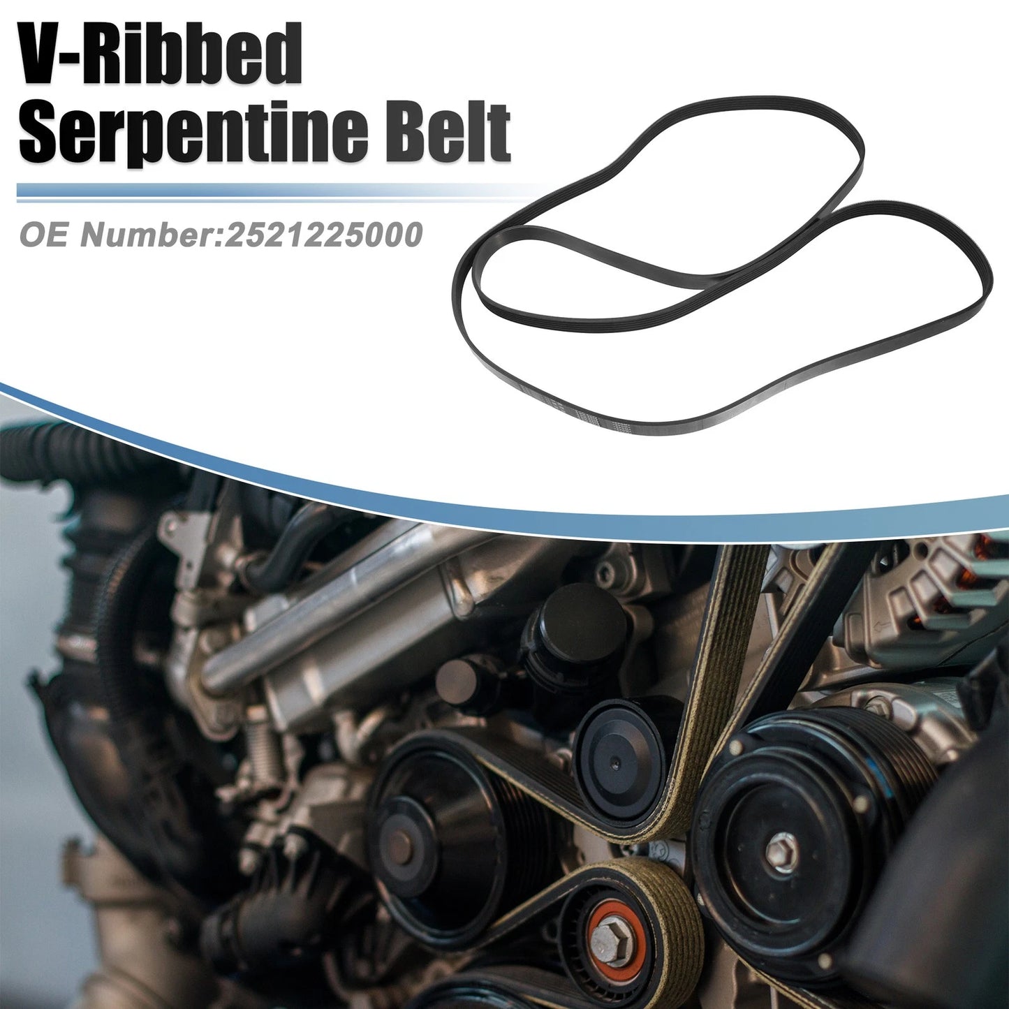 V-Ribbed Serpentine Drive Belt for Ford Mustang (2006-2010)
