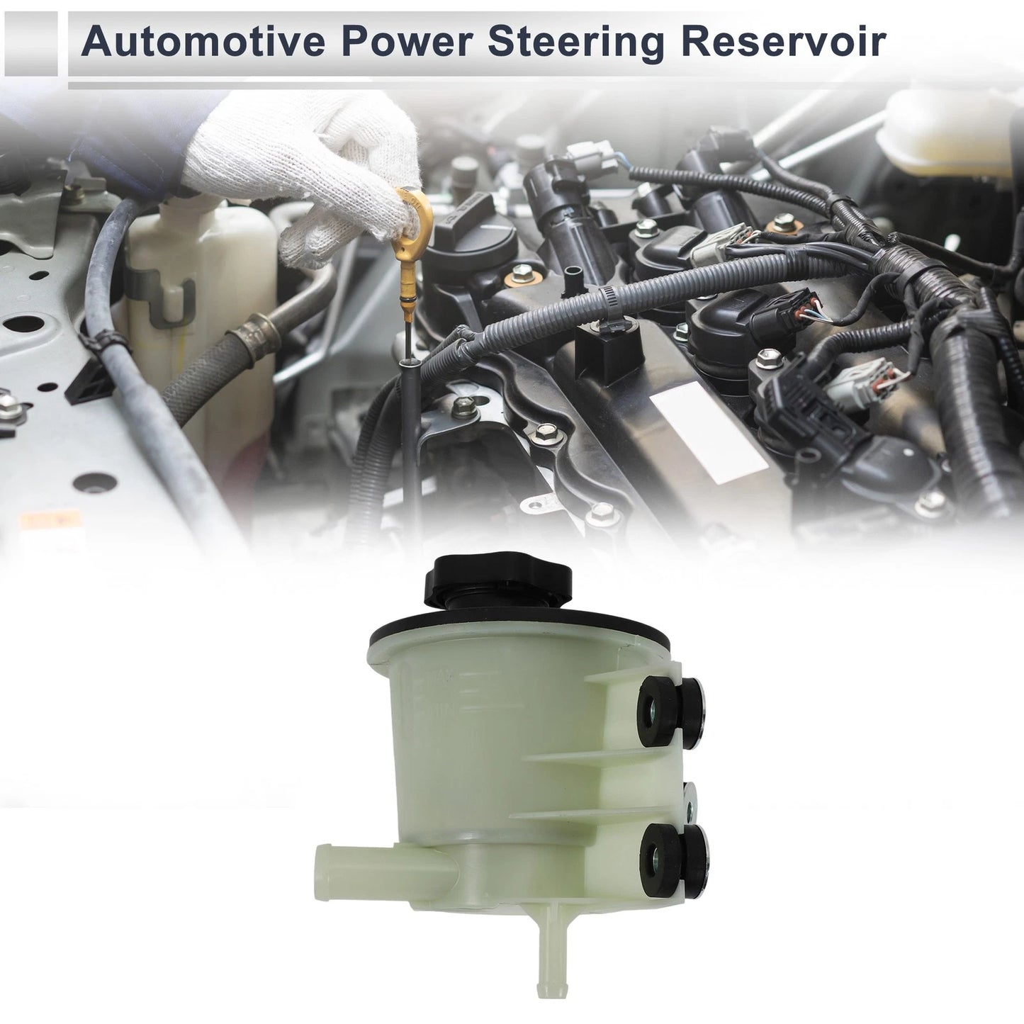 Power Steering Reservoir for Ford Taurus (2000-2005) 1 x Beige