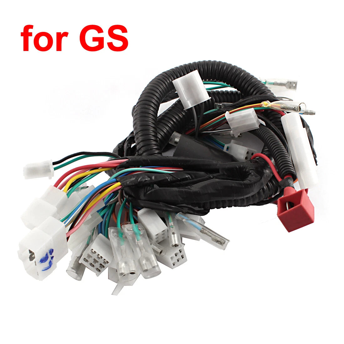 Main Wiring Harness for GS
