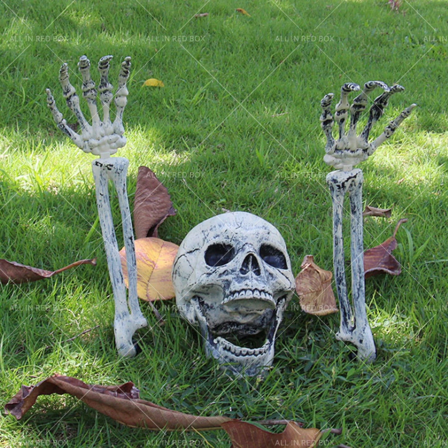 Halloween Skeleton Head Bones Decorations for Indoor Outdoor Use