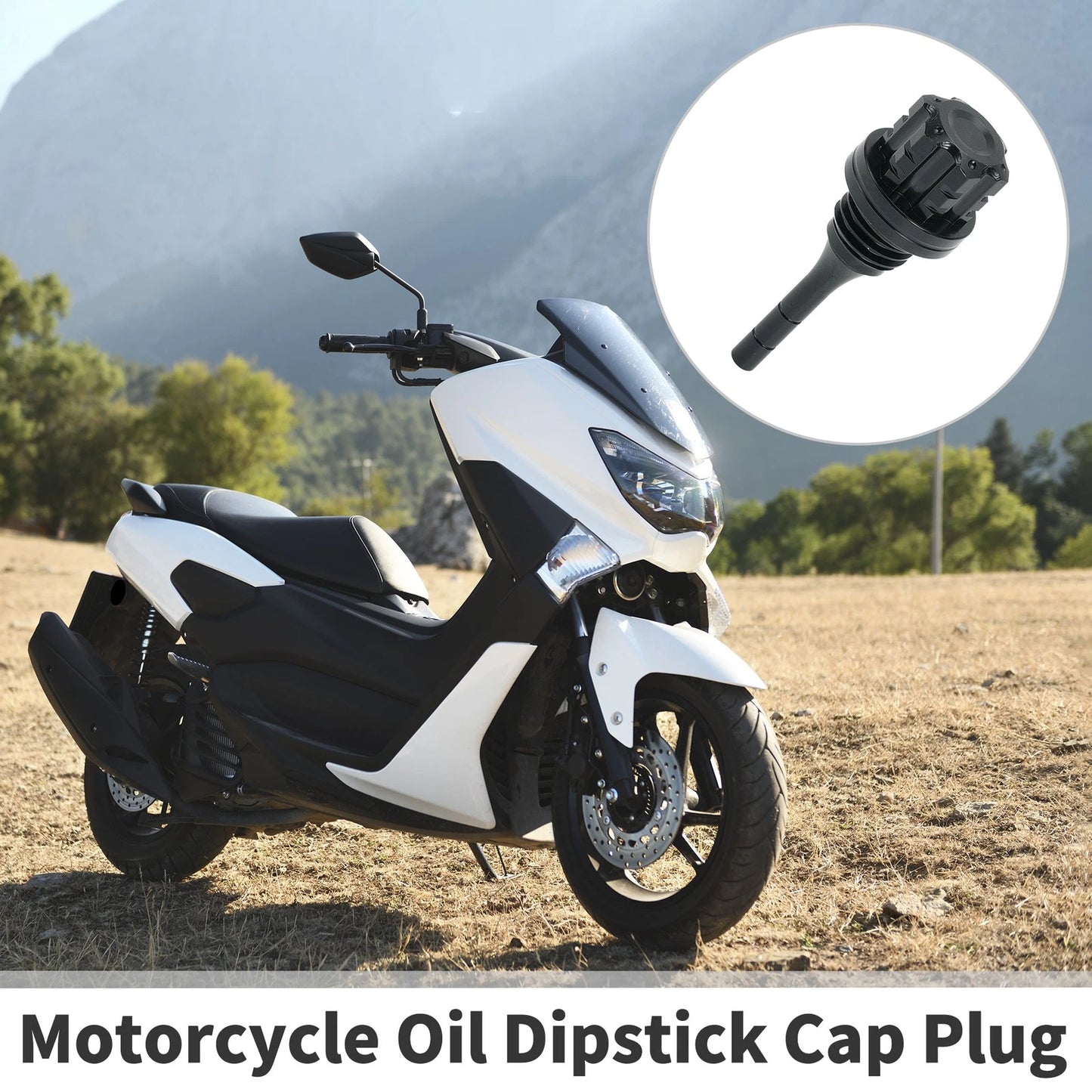 1 x Motorcycle Engine Oil Dipstick Cap Plug for Engine Crankcase Titanium Tone